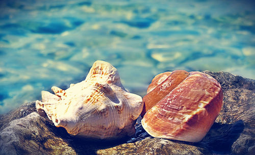 Close-up of rock in sea