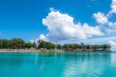 Trees by sea against blue sky