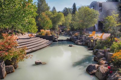 Scenic view of trees against sky