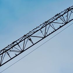 Low angle view of electricity pylon against clear sky with birds