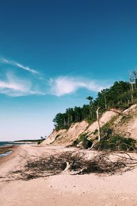 Scenic view of landscape against blue sky