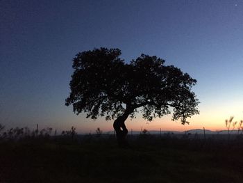 Silhouette tree against sky at night