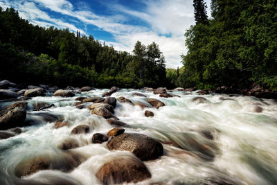 Stream flowing through rocks in forest against sky