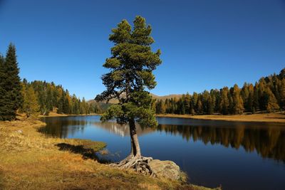 Scenic view of lake against clear blue sky