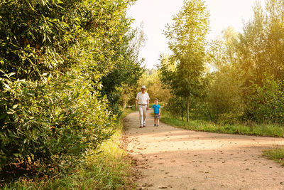 Rear view of people walking on footpath amidst trees
