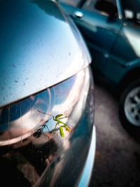 Reflection of man on car window