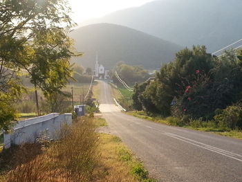 Road passing through forest