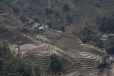 High angle view of agricultural field