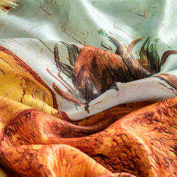 Close-up of dead fish