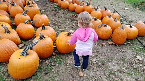 Full length of boy standing by pumpkins on field