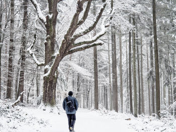 Rear view of person walking on snow covered land