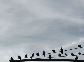 Low angle view of silhouette birds perching on cable against sky