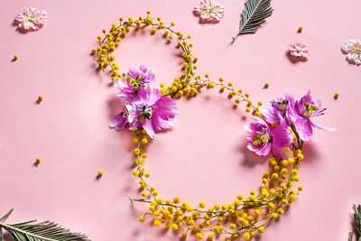 High angle view of pink flowering plant