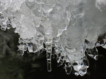 Close-up of icicles in water