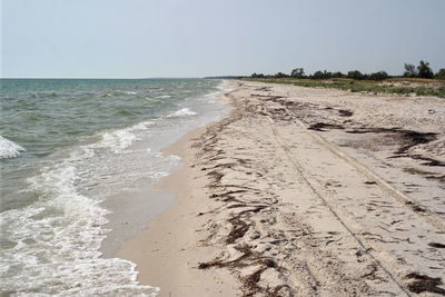 Scenic view of beach against clear sky