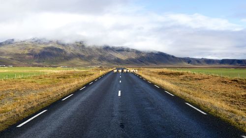 Sheep crossing road leading towards mountains against cloudy sky