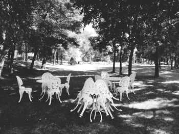 View of silhouette trees in park