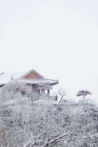 Houses in winter