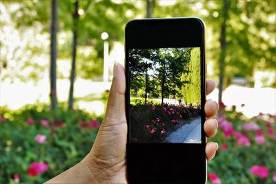 Hand holding mobile phone