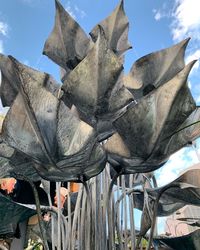 Close-up of dead plant against sky