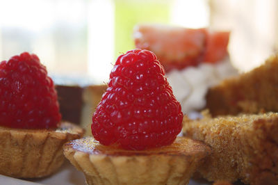 Detail shot of raspberry tart