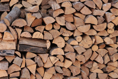 Full frame shot of logs in forest