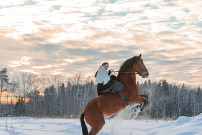 A girl in a white cloak rides a brown horse in winter.