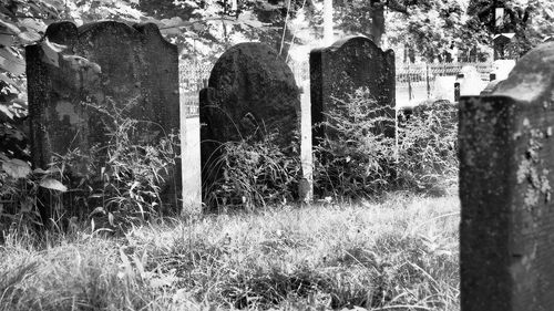 View of cemetery