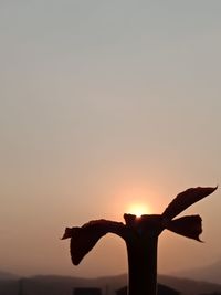 Silhouette person hand against orange sky