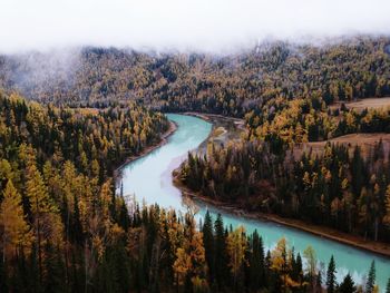 Scenic view of river in forest against sky