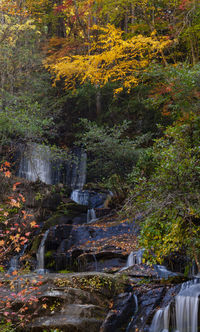 Stream flowing through rocks in forest during autumn