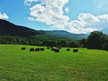 Scenic view of grassy field against cloudy sky