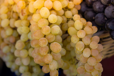 High angle view of grapes