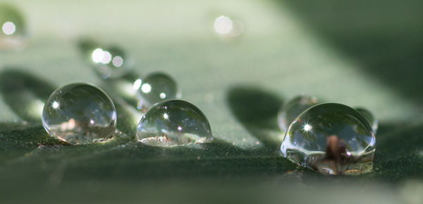 Close up of bubbles in water