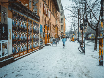 Bare trees in city during winter