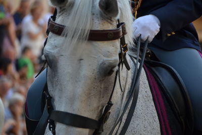 Man riding horse