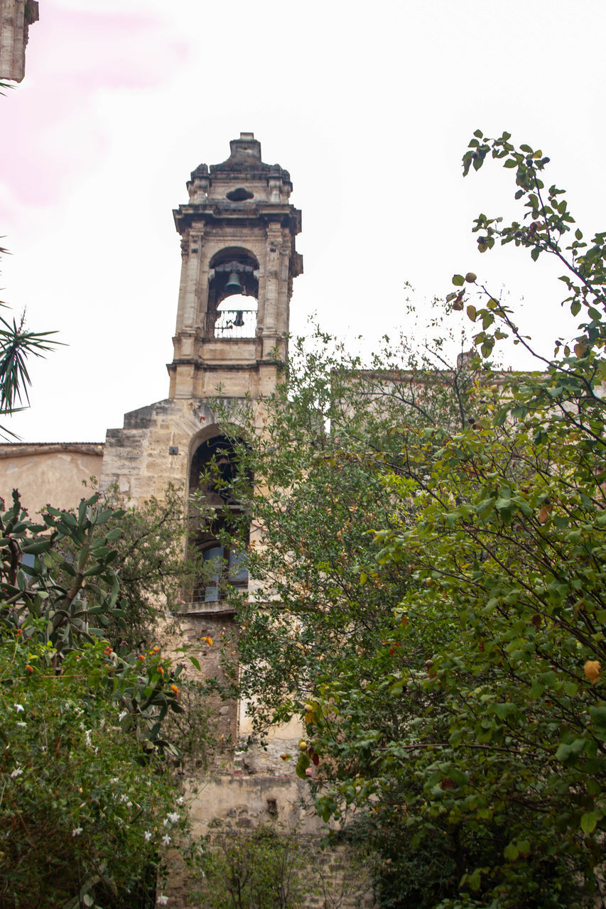 architecture, clock, tower, plant, building exterior, built structure, tree, building, sky, nature, clock tower, history, the past, travel destinations, time, no people, low angle view, day, religion, outdoors, flower, place of worship, bell tower, old, travel, tourism, belief, green