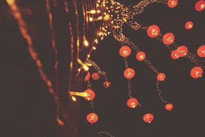 Low angle view of illuminated lanterns hanging from bare tree