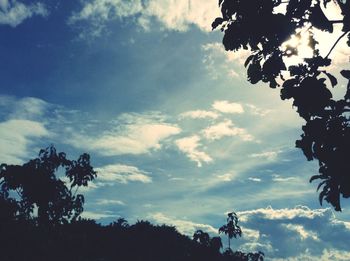 Low angle view of silhouette trees against sky