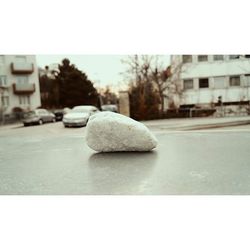 Close-up of plant against blurred background