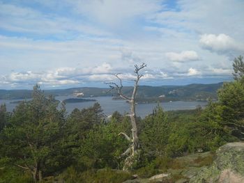 Scenic view of sea against cloudy sky