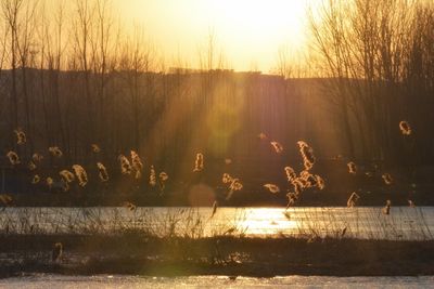 Scenic view of lake at sunset