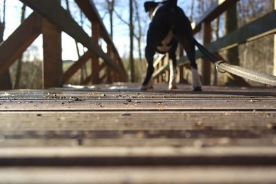 Low section of man on wood