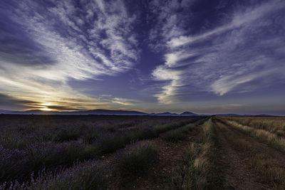 Road amidst field against sky during sunset