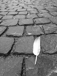 Close-up of white background