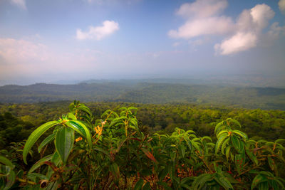 Scenic view of land against sky