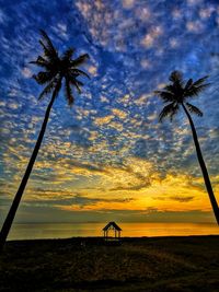 Silhouette palm trees on beach against sky during sunset