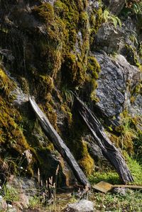 Close-up view of stone wall