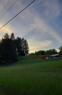 Scenic view of field against sky during sunset