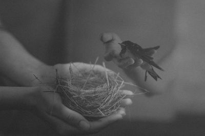 Close-up of hand holding stick